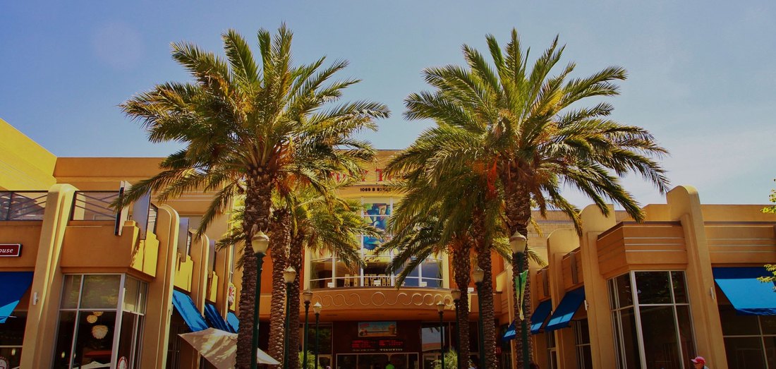 Downtown Hayward storefronts with palm trees on a sunny afternoon